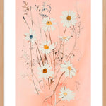 Daisy Reveries (Outlet) Walldecoration Wandkraft