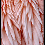 Bright Wings 032 Walldecoration Wandkraft 80x120 cm