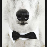 Faces 001 Walldecoration Wandkraft 48x98 cm