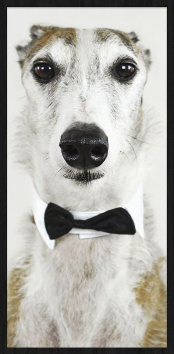 Faces 001 Walldecoration Wandkraft 48x98 cm