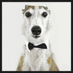 Faces 001 Walldecoration Wandkraft 74x74 cm