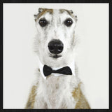 Faces 001 Walldecoration Wandkraft 74x74 cm