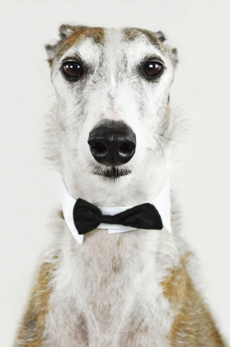 Faces 001 Walldecoration Wandkraft