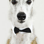 Faces 001 Walldecoration Wandkraft