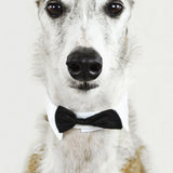 Faces 001 Walldecoration Wandkraft