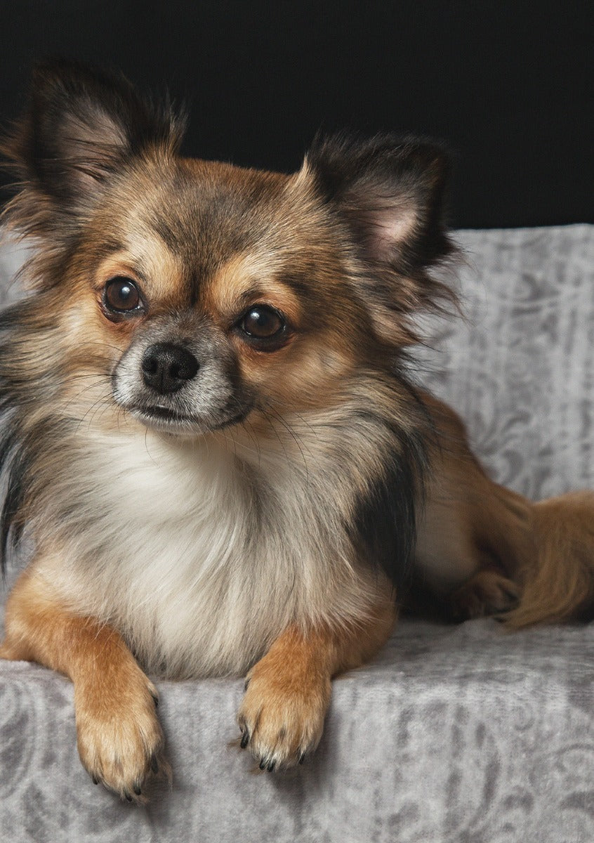 Faces 002 Walldecoration Wandkraft