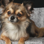 Faces 002 Walldecoration Wandkraft