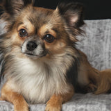 Faces 002 Walldecoration Wandkraft