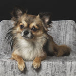 Faces 002 Walldecoration Wandkraft 118x70 cm