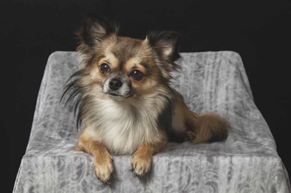 Faces 002 Walldecoration Wandkraft 118x70 cm