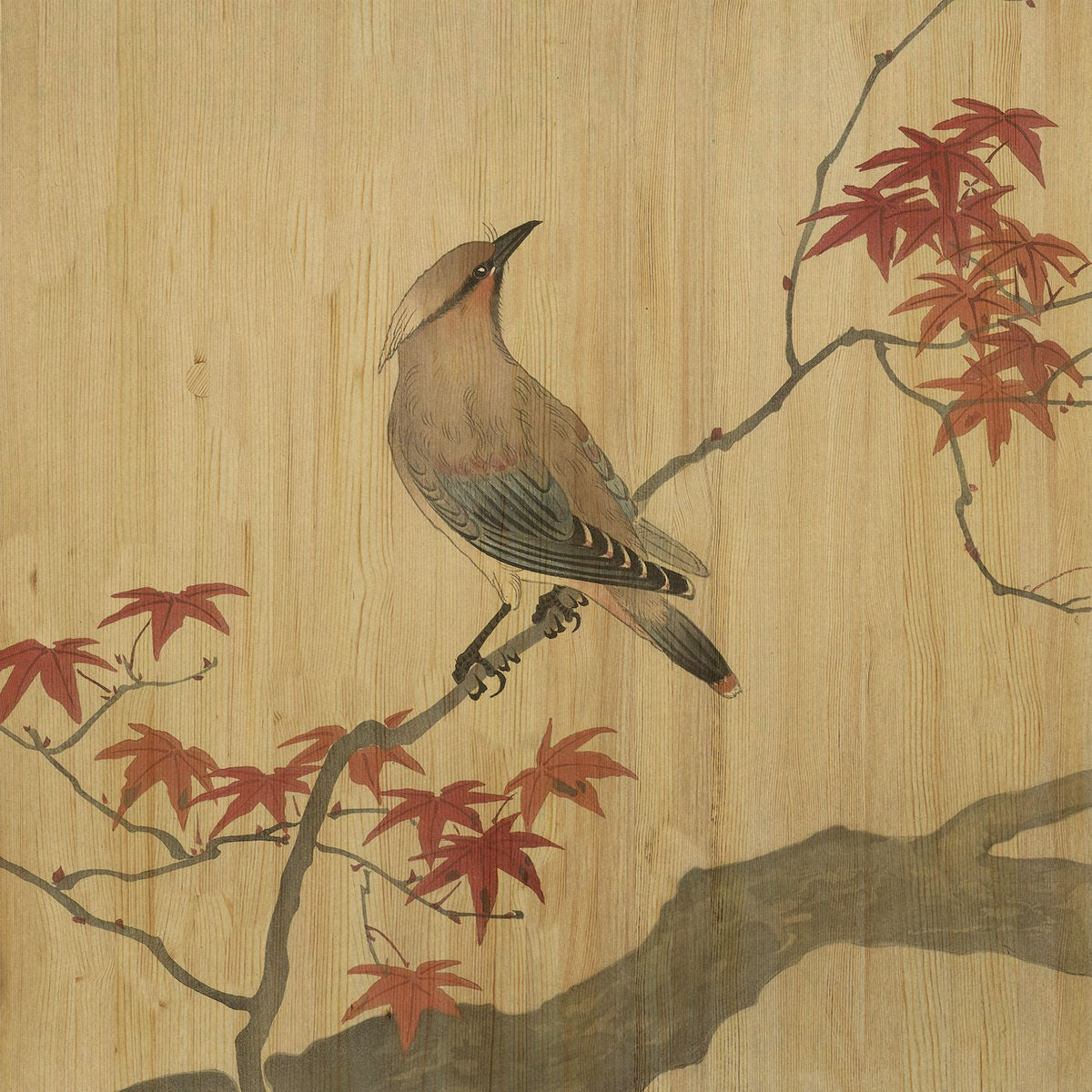 Land of the Rising Sun 003 Walldecoration Wandkraft 74x74 cm