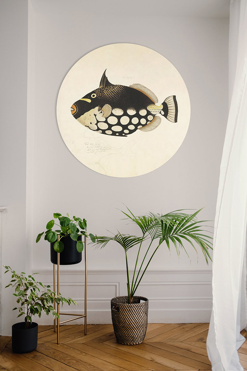 Fish Black Walldecoration Wandkraft