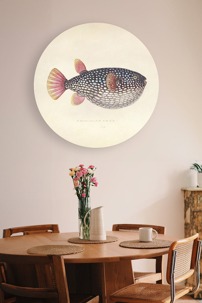 Blowfish Walldecoration Wandkraft