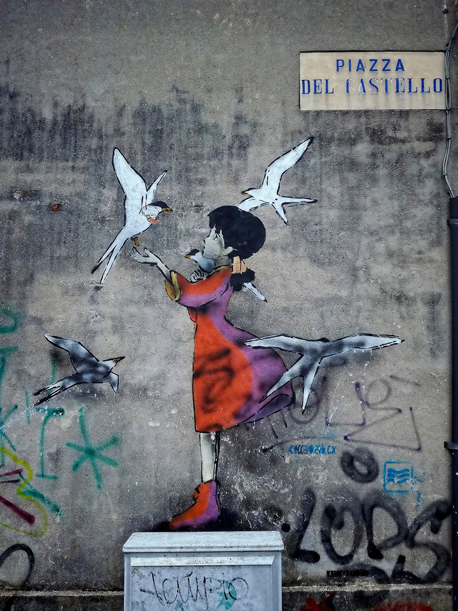 Birdy Girl Walldecoration Wandkraft 20x30 cm Fine Art Plexiglas glans Blind Kunststof Ophangsysteem