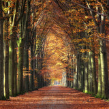 Autumn Walldecoration Wandkraft 70x50 cm Plexiglas Fine Art mat Baklijst Zwart