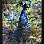 Proud Peacock Walldecoration Wandkraft 50x70 cm Fine art Plexiglas mat Baklijst zwart