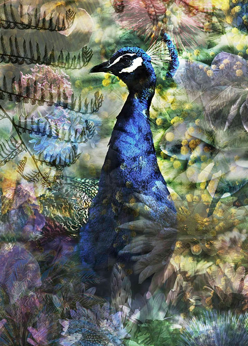 Proud Peacock Walldecoration Wandkraft 50x70 cm Fine art Plexiglas glans Aluminium profiel