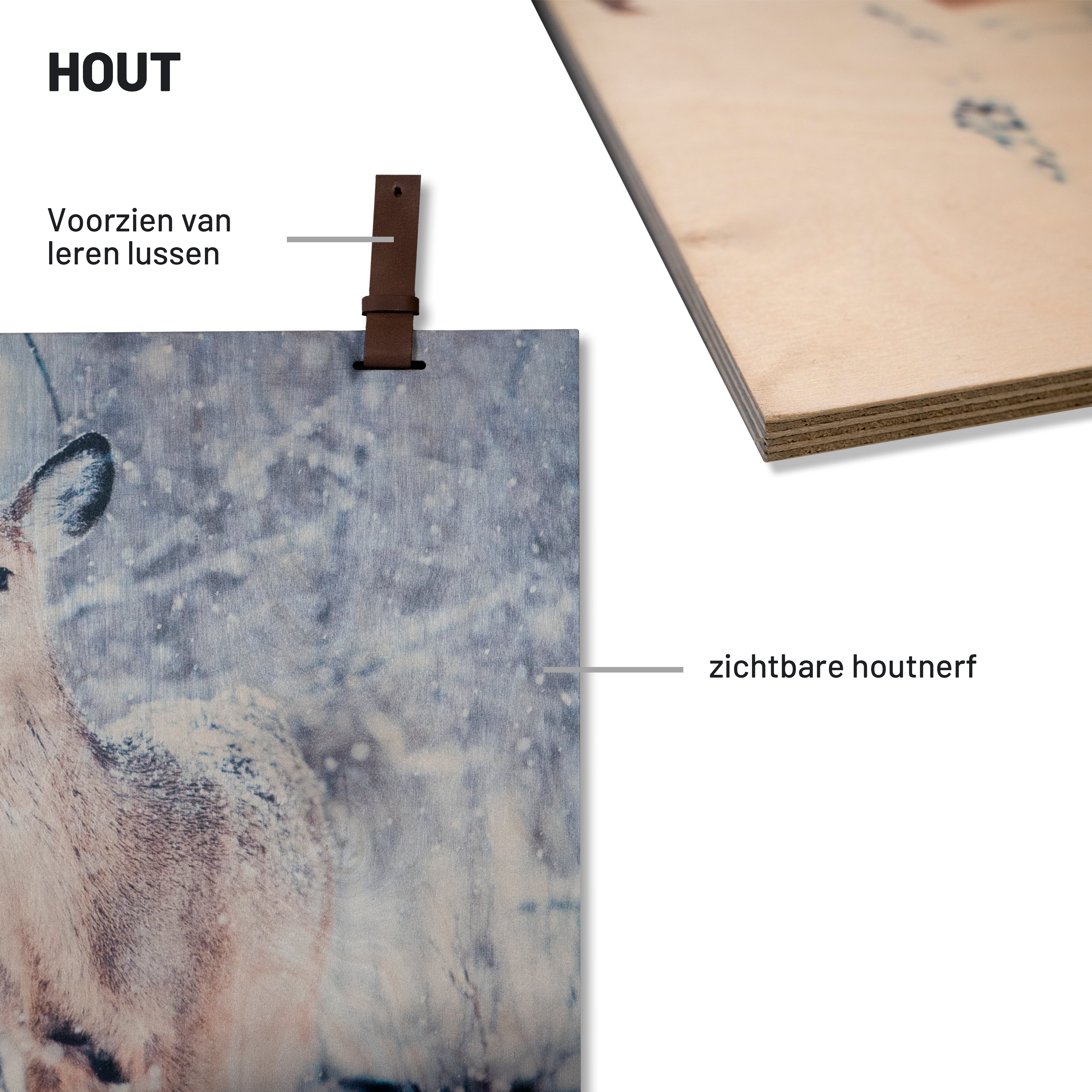 European Wildlife 002 (Outlet) Walldecoration Wandkraft