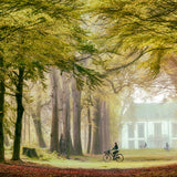 A Path for Many Walldecoration Wandkraft 70x50 cm Plexiglas Fine Art glans Aluminium profiel