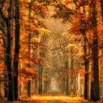 Exit the Portal Walldecoration Wandkraft 70x50 cm Plexiglas Fine Art glans Aluminium Profiel