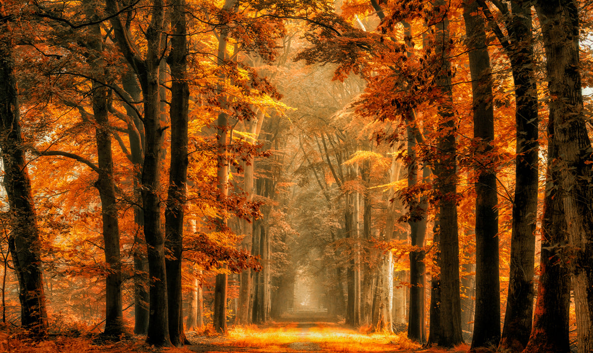 Exit the Portal Walldecoration Wandkraft 70x50 cm Plexiglas Fine Art glans Aluminium Profiel