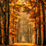 Exit the Portal Walldecoration Wandkraft 74x74 cm Plexiglas Fine Art glans Aluminium Profiel