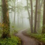 Foggy Mornings Walldecoration Wandkraft 70x50 cm Plexiglas Fine Art glans Aluminium Profiel