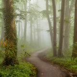 Foggy Mornings Walldecoration Wandkraft 70x50 cm Plexiglas Fine Art glans Aluminium Profiel