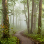 Foggy Mornings Walldecoration Wandkraft 74x74 cm Plexiglas Fine Art glans Aluminium Profiel