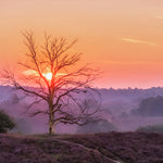 On the Heath Walldecoration Wandkraft 70x50 cm Plexiglas Fine Art glans Aluminium Profiel