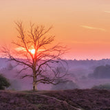 On the Heath Walldecoration Wandkraft 70x50 cm Plexiglas Fine Art glans Aluminium Profiel