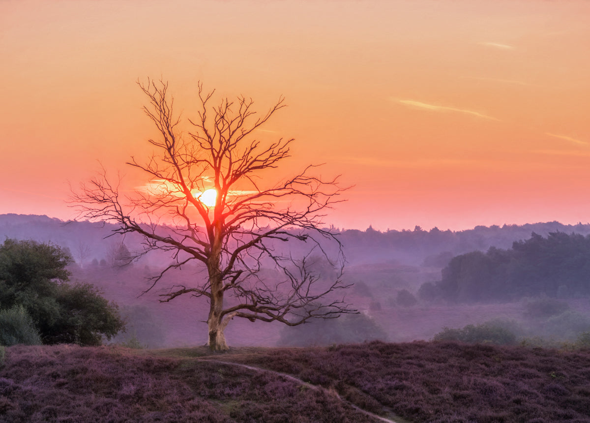 On the Heath Walldecoration Wandkraft 70x50 cm Plexiglas Fine Art glans Aluminium Profiel