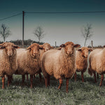 At the Farm 007 Walldecoration Wandkraft 118x70 cm