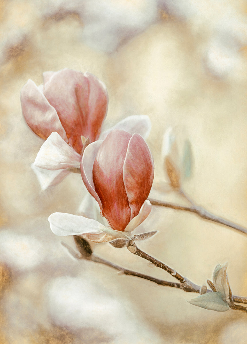 Blooming Hearts Walldecoration Wandkraft 50x70 cm Plexiglas Fine Art glans Aluminium profiel