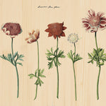 Botanical Stories 016 Walldecoration Wandkraft 118x70 cm