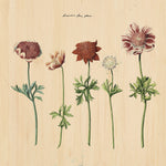 Botanical Stories 016 Walldecoration Wandkraft 74x74 cm