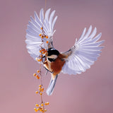Bright Wings 020 Walldecoration Wandkraft 74x74 cm