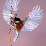 Bright Wings 020 Walldecoration Wandkraft 70x118 cm
