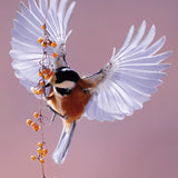Bright Wings 020 Walldecoration Wandkraft 70x118 cm