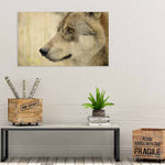 European Wildlife 002 (Outlet) Walldecoration Wandkraft