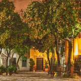 Night in Sevilla Walldecoration Wandkraft 70x50 cm Plexiglas Fine Art glans Aluminium Profiel
