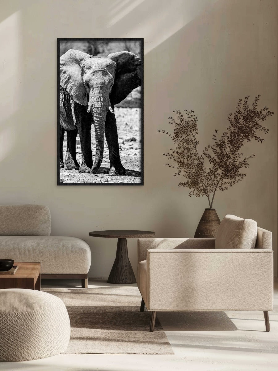 Monochrome Majesty Walldecoration Wandkraft