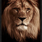 King's Pride Walldecoration Wandkraft 70x118 cm