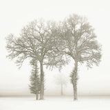 Ineen Walldecoration Wandkraft Plexiglas Fine Art glans Aluminium Profiel