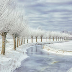 Winter in Holland Walldecoration Wandkraft 74x74 cm Plexiglas Fine Art glans Aluminium Profiel