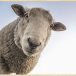 At the Farm 002 Walldecoration Wandkraft 98x48 cm