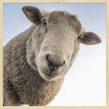 At the Farm 002 Walldecoration Wandkraft 74x74 cm