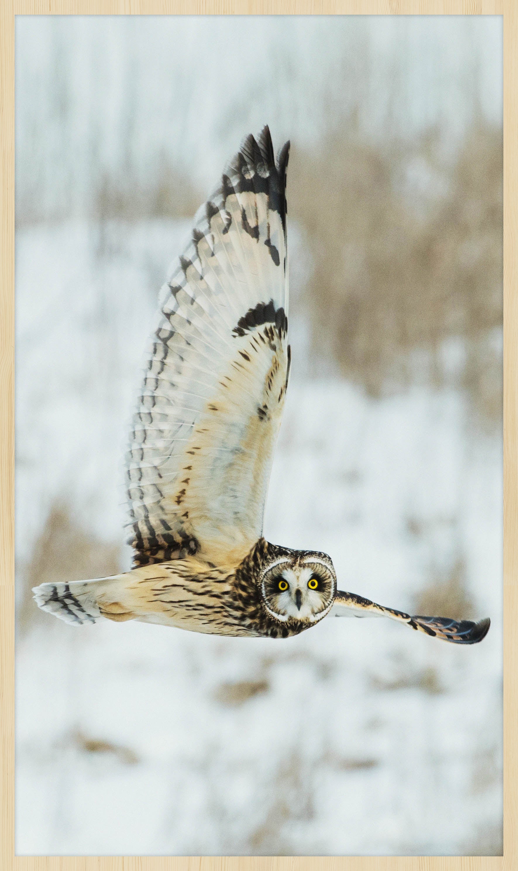 Bright Wings 007 Wandkraft 70x118 cm