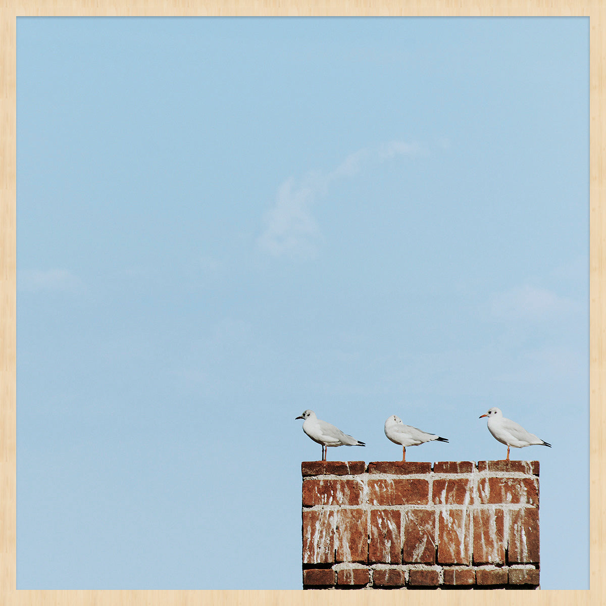 Summer Time 009 Walldecoration Wandkraft 74x74 cm