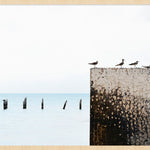 Summer Time 010 (Outlet) Walldecoration Wandkraft 98x48 cm